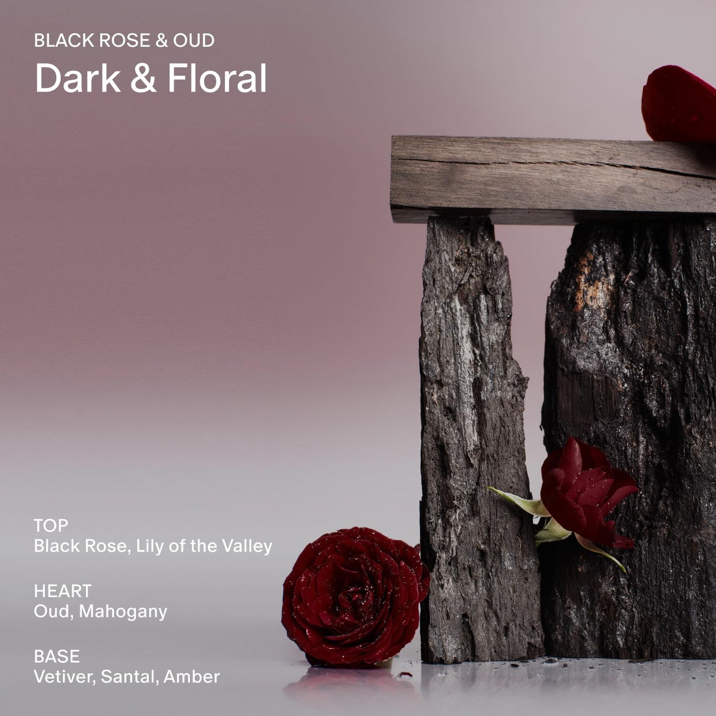 Salt & Stone Body Mist, Black Rose & Oud Scent, Skincare Infused Perfume Hair & Body Spray for Women and Men, Hydrating Fragrance with Glycerin and Red Algae, Vegan, Cruelty Free, 3.4 fl oz