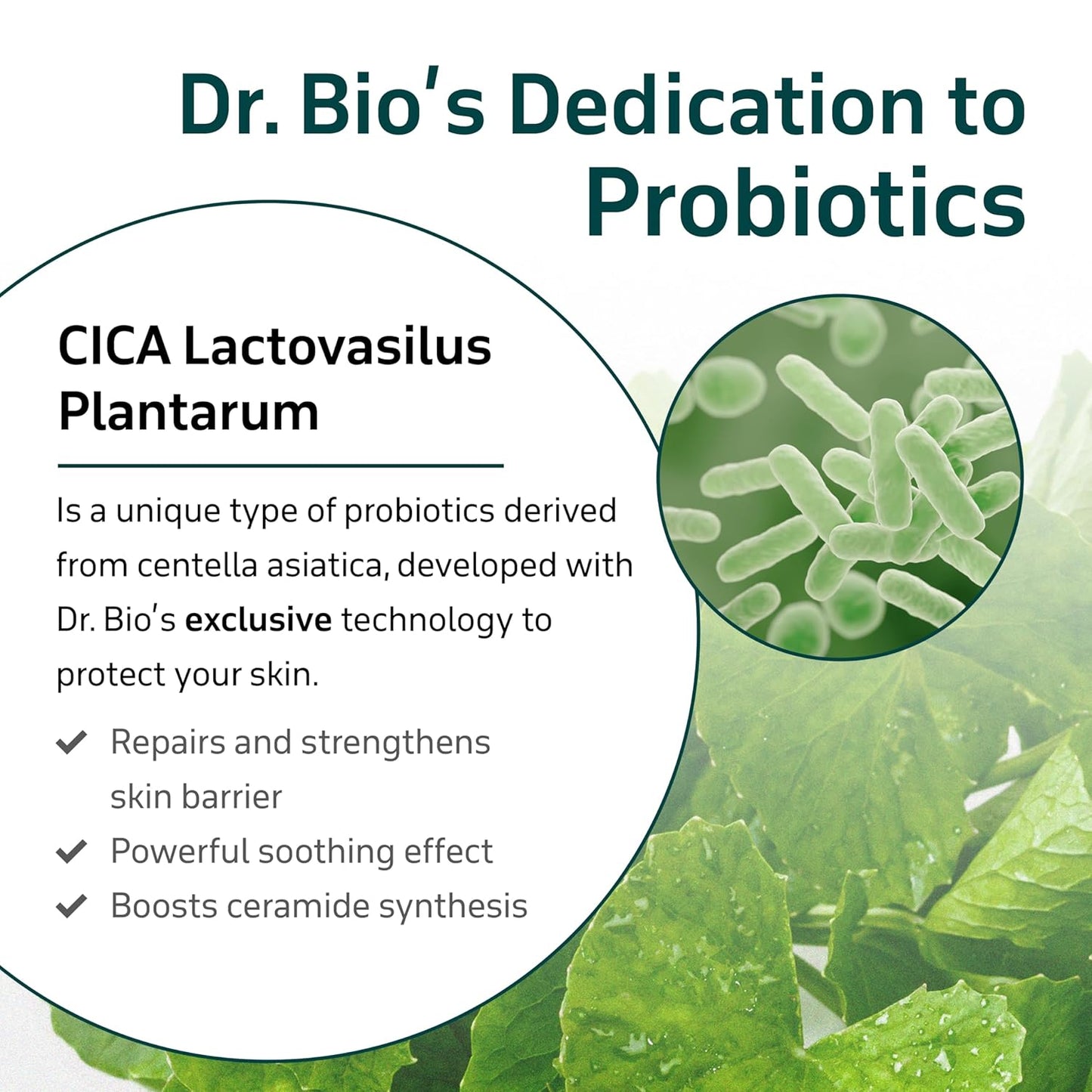 Dr. Bio Greenery Lip Care Balm (0.28oz/8g)| Hydrating Relief Balm for Dry, Chapped Lips | Lip Treatment with Natural Oils & Probiotics | Lip Moisturizer Repair Stick | Vegan Korean Skin Care | 2 Tubes