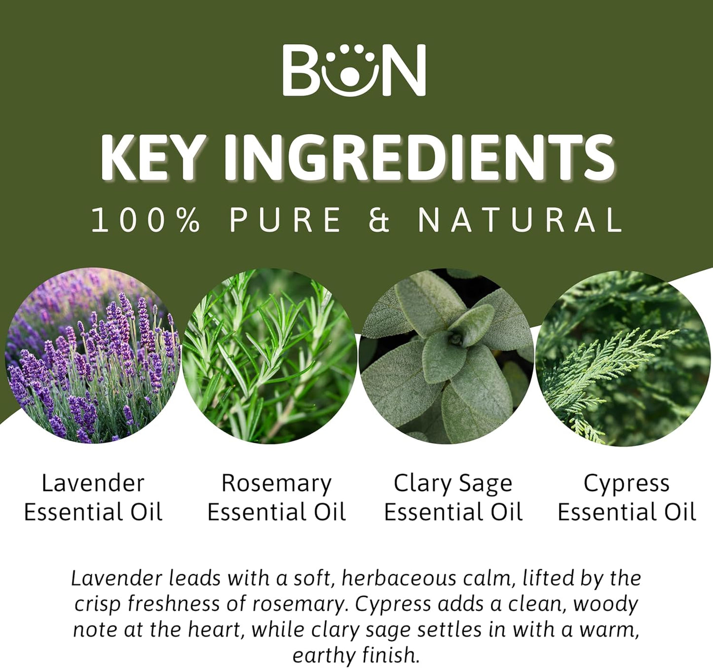 Best of Nature Memory Essential Oil Blend – 100% Pure for Diffuser, Aromatherapy & Focus – Herbal, Refreshing Scent with Lavender, Rosemary, Cypress & Clary Sage